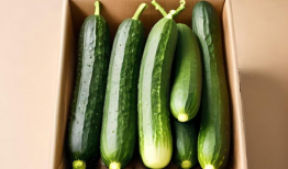 吃瓜爆料图片素材高清版,高清图片素材背后的故事